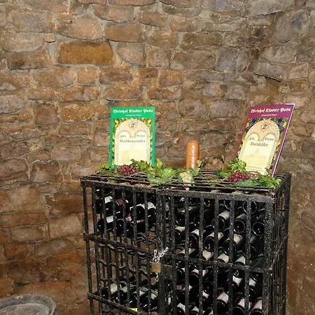 Cocon 1 Zetz * Цайц